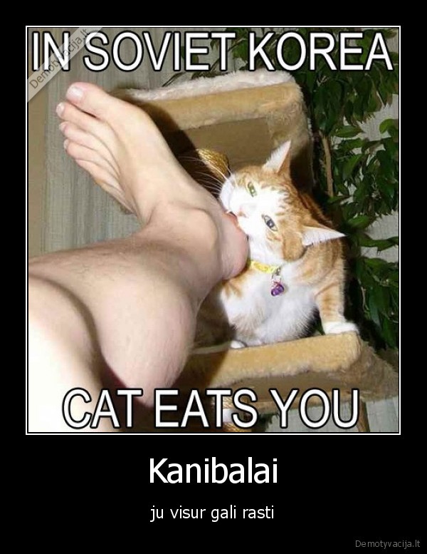 Kanibalai