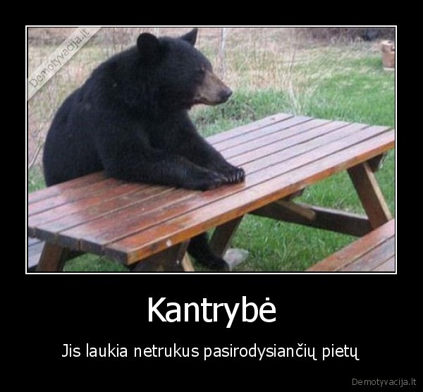 kantrybe