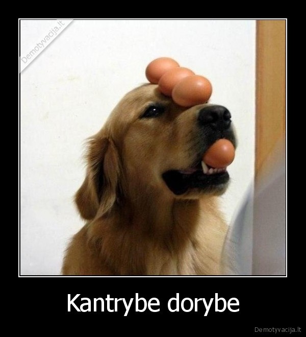 Kantrybe dorybe