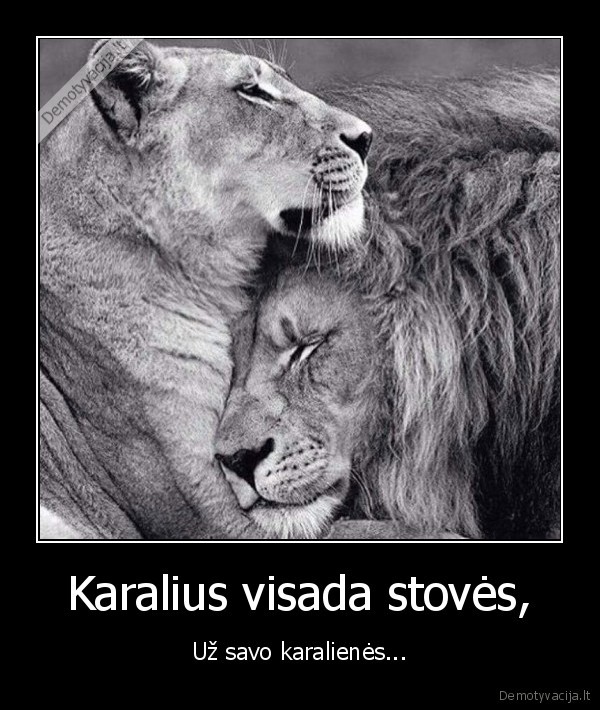Karalius visada stovės,