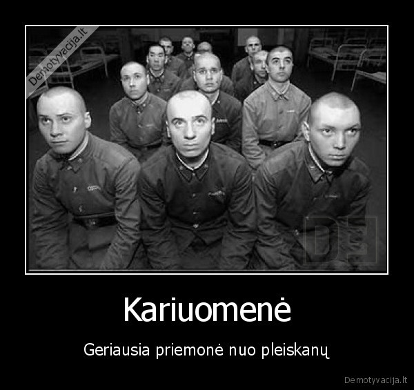 kariuomene,priemone,geriausia,pleiskanos,plikas,nuskusti