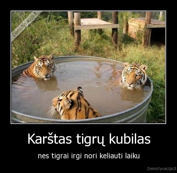filmas,tigrai,kubilius,kremo, nera