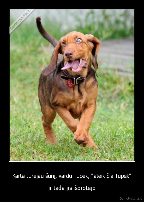 Karta turėjau šunį, vardu Tupėk, &quot;ateik čia Tupek&quot;