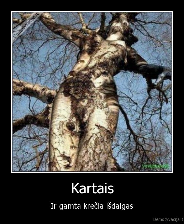 gamta
