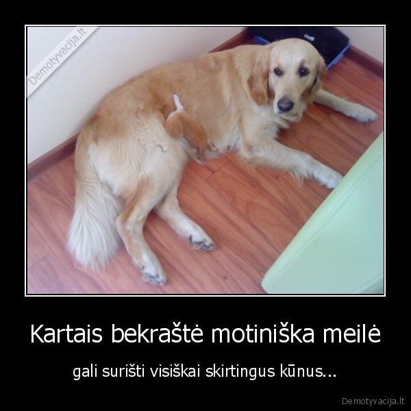 motiniska, meile