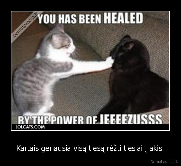 Kartais geriausia visą tiesą rėžti tiesiai į akis 
