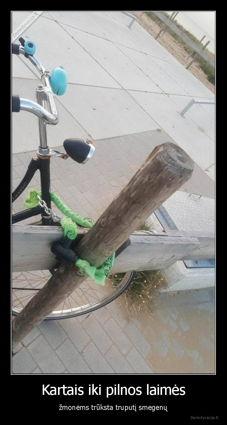 smegenys,laime,logika
