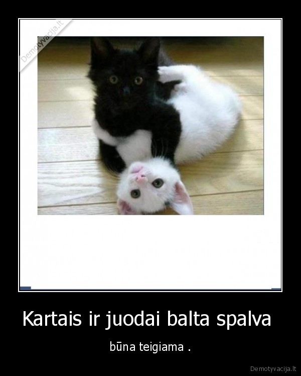 Kartais ir juodai balta spalva 
