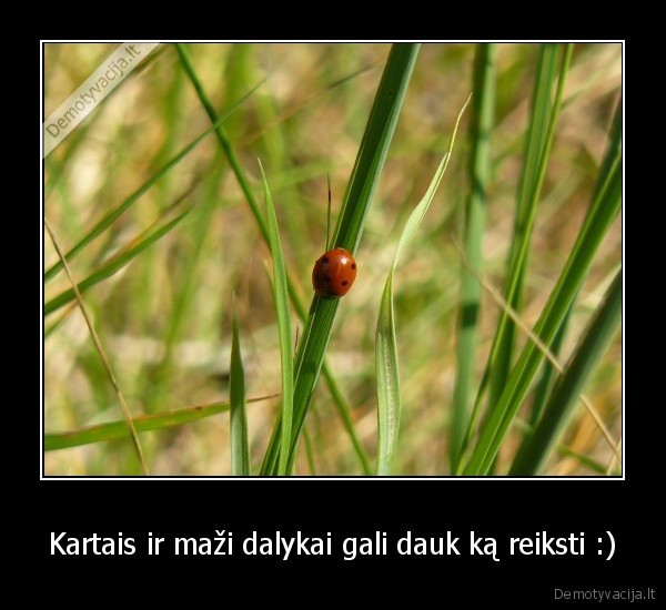 Kartais ir maži dalykai gali dauk ką reiksti :)