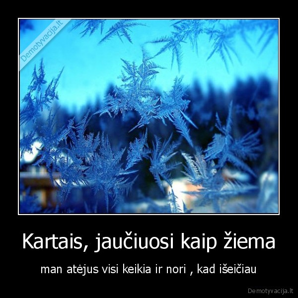 ziema