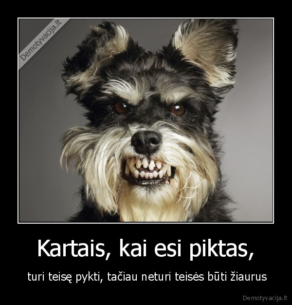 Kartais, kai esi piktas,