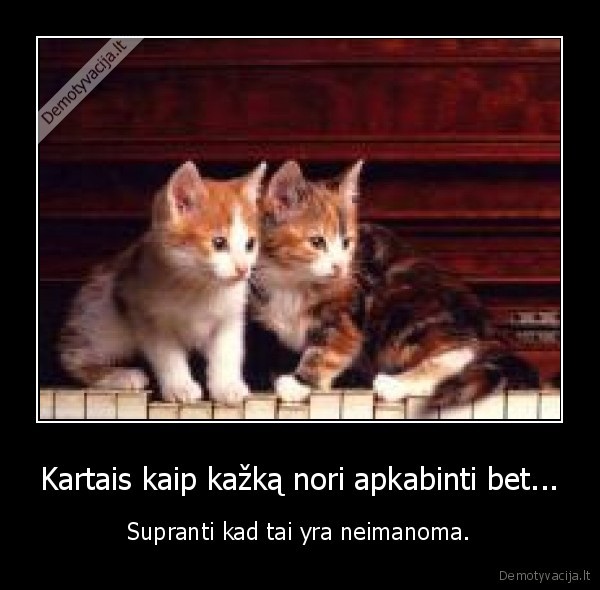 apkabinimas