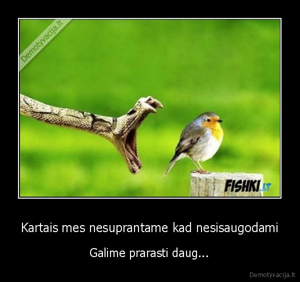mirtis