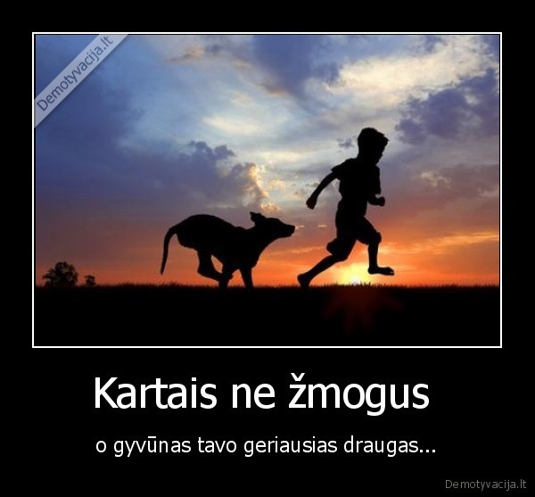 cucikas