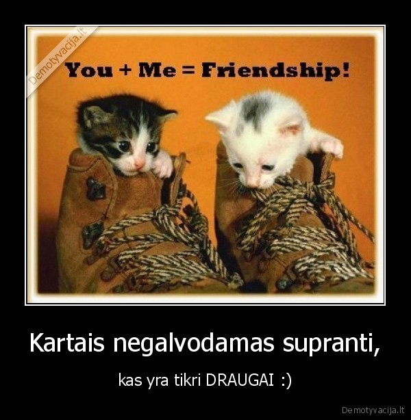 draugai