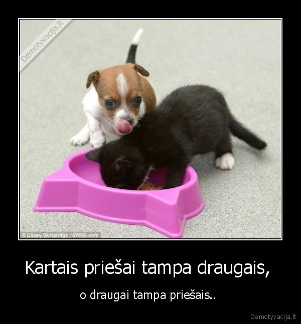 priesai,tampa,draugai