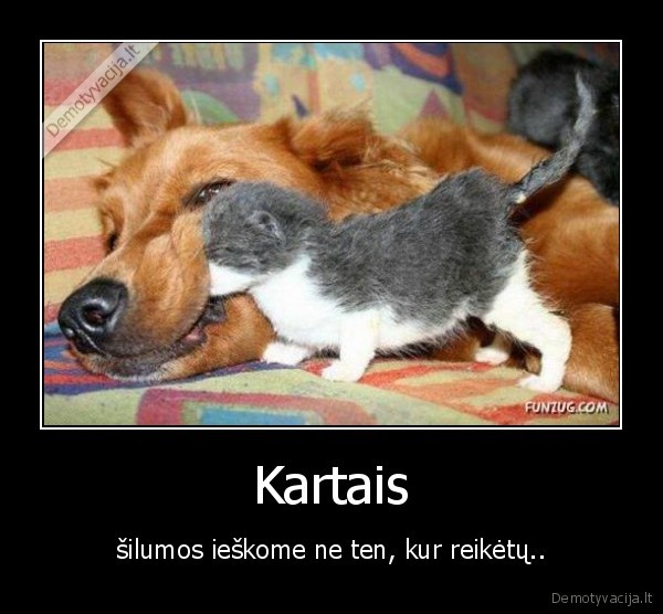 Kartais