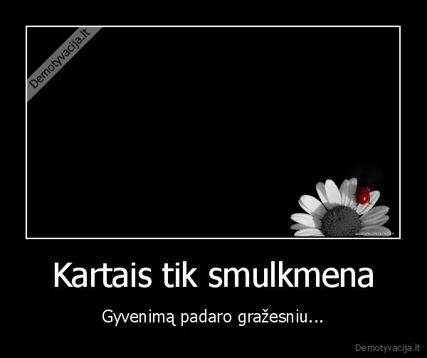 Kartais tik smulkmena