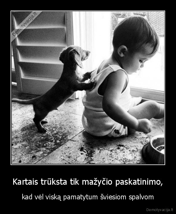 suo,skatina,vaikas