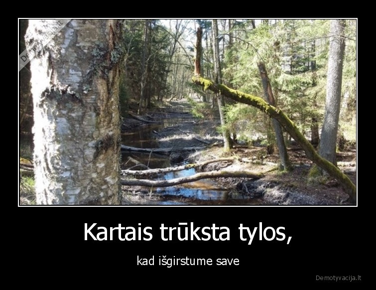 gamta,tyla,berzas,save