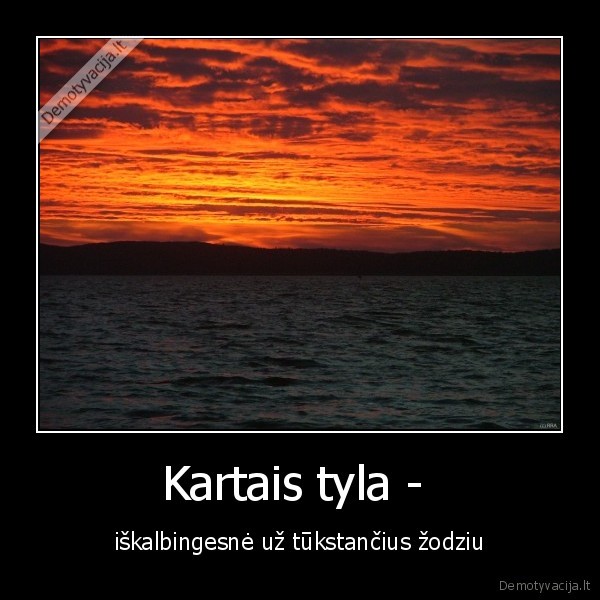 tyla,iskalbingesne
