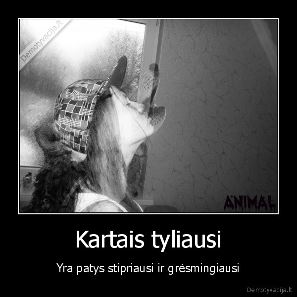 Kartais tyliausi