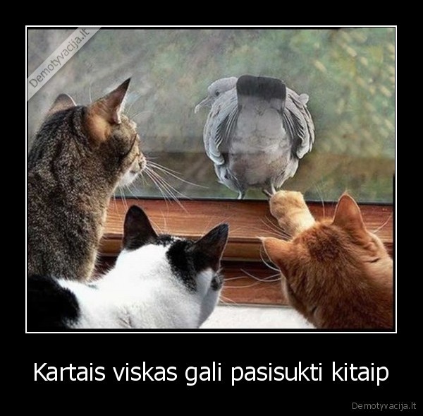 Kartais viskas gali pasisukti kitaip