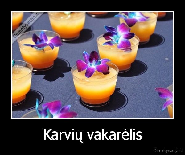 Karvių vakarėlis