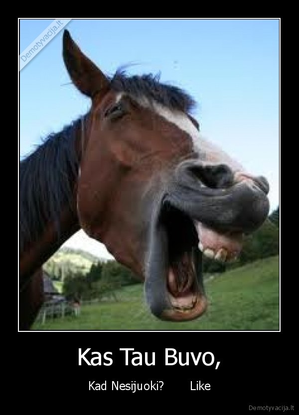 Kas Tau Buvo,