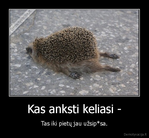 keltis,rytas,anksti