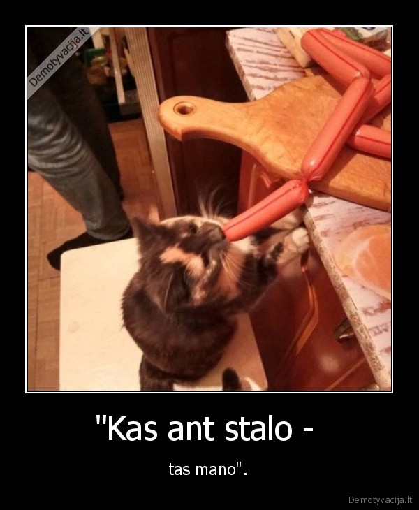 kate,katinas,desreles