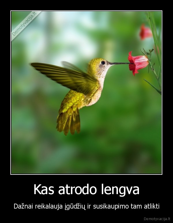 Kas atrodo lengva