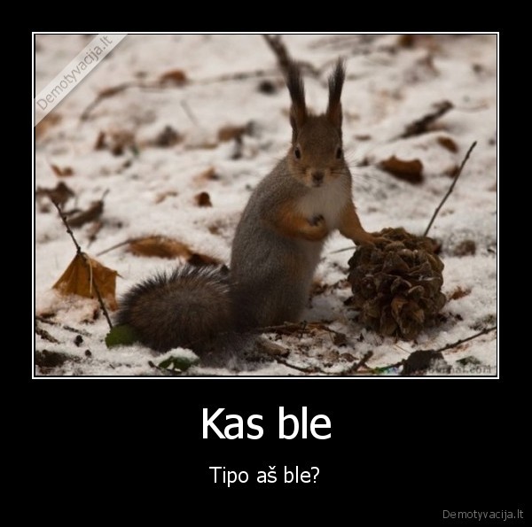 Kas ble