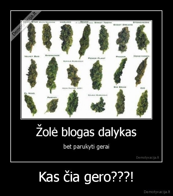 Kas čia gero???!