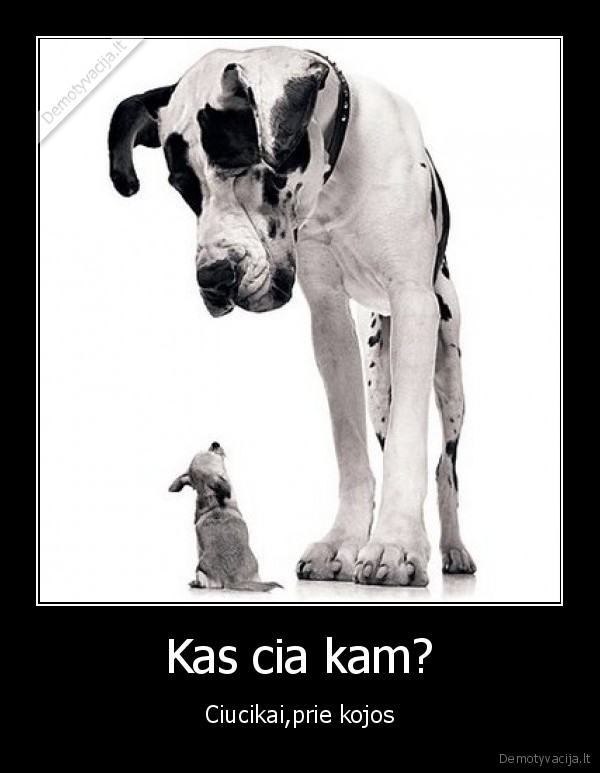 Kas cia kam?