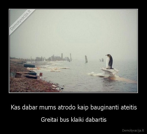 pabaiga,mirtis,atsilimas,pingvinas,asigalis,asigalis