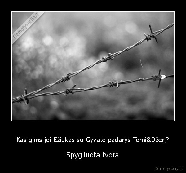 Kas gims jei Ežiukas su Gyvate padarys Tomi&amp;Džerį?
