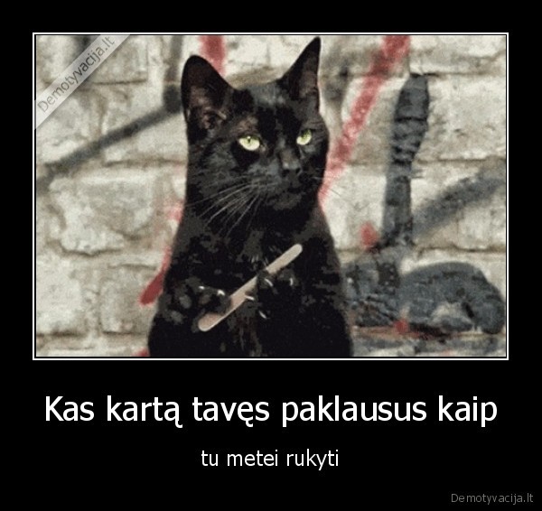 Kas kartą tavęs paklausus kaip
