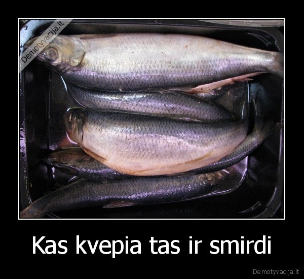 silke, mmmm, skani, neskani, bet, kvepia