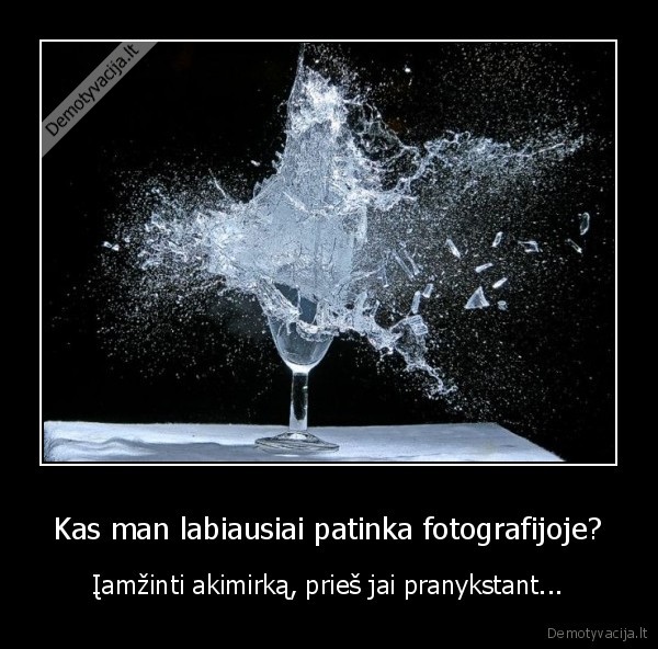 fotografija,nuomyletieji, kaulai