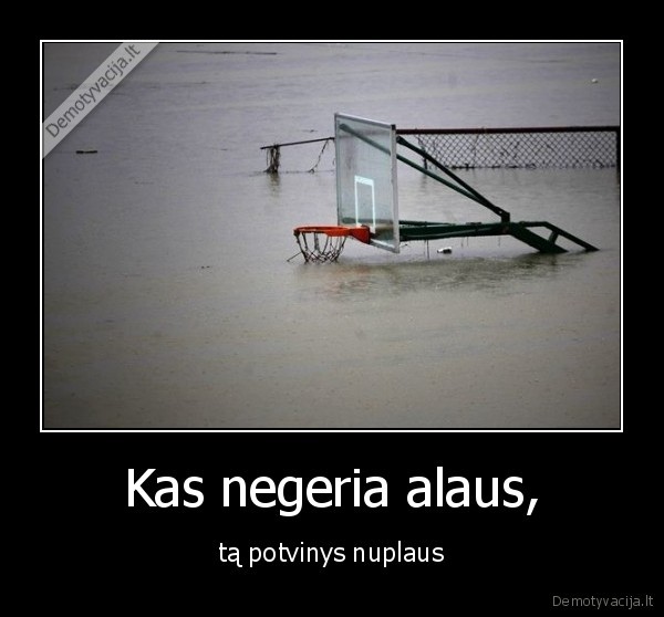 ciurkas,isprause