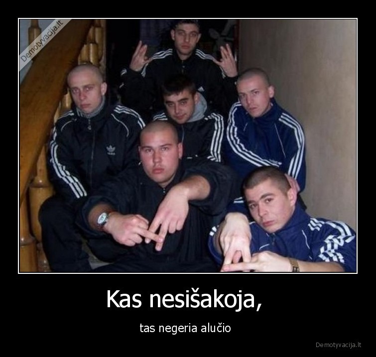 alutis,alus,marozai,sakotis