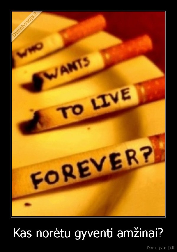 cigaretes,fui,nerukykit, bukit, protingi