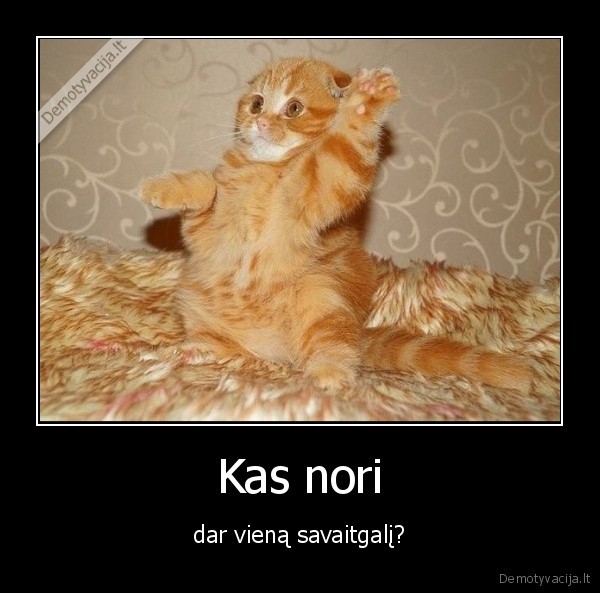 savaitgalis