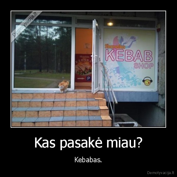 miau