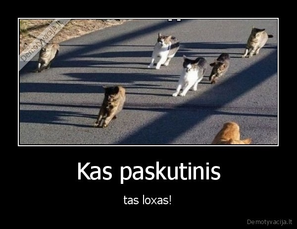 vaikyste,zaidimai,vytis,begioti