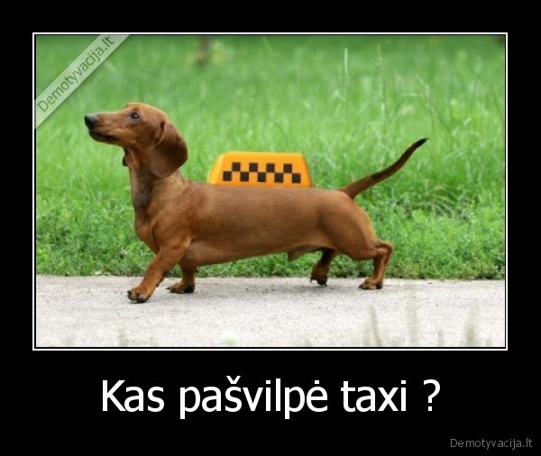 Kas pašvilpė taxi ?