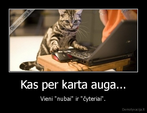 karta,nubai,cyteriai
