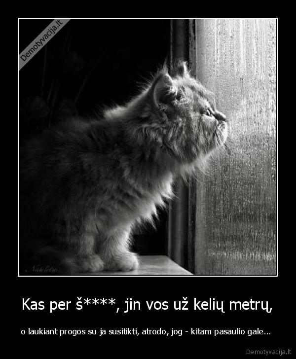 Kas per š****, jin vos už kelių metrų,