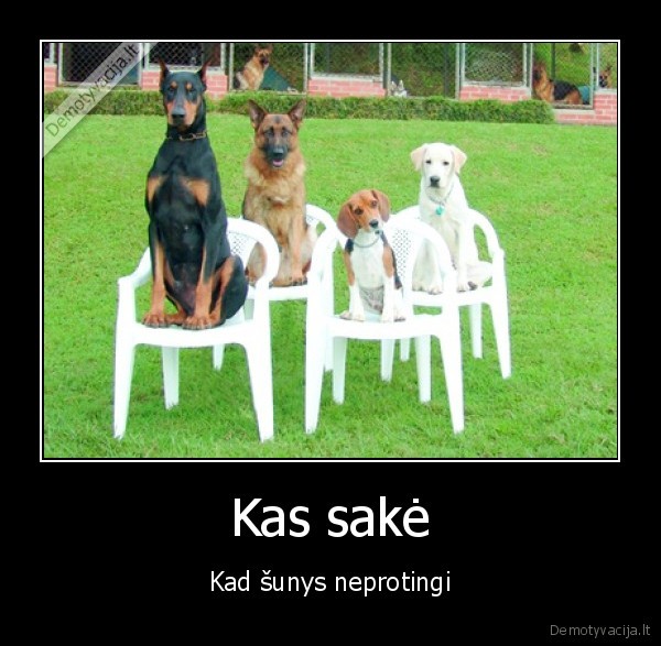 Kas sakė